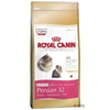 Royal-canin-kitten-persian-32
