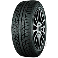 Gt-radial-195-55-r15-winterpro