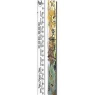 Metermorphosen-gbr-erdzeitzollstock