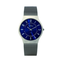 Skagen-233lstn