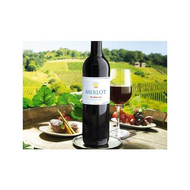2010-merlot-pfalz-qualitaetswein-trocken