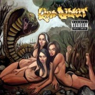 Limb-bizkit-gold-cobra