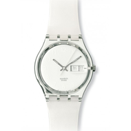 Swatch-snowcovered-gk733
