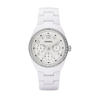 Fossil-ce1042