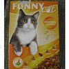 Funny-cat-knuspermix-mit-chicken