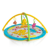 Hauck-activity-center-seaworld