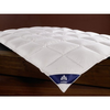 Irisette-obb-80636-01-passiona