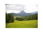 Bergwiese-am-weg-zur-reitherjoch-alm-mit-blick-zur-hohen-munde