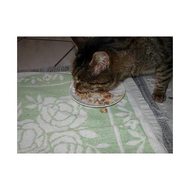 Ein-paar-scheint-es-zu-schmecken