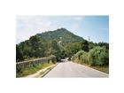Strasse-nach-costa-de-canyamel
