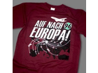 Hannover-96-auf-nach-europa