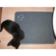 Kater-und-der-vorleger-beim-beschnuppern