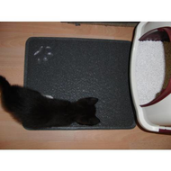 Kater-und-vorleger-d