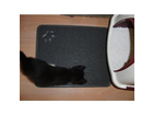 Kater-und-vorleger-d
