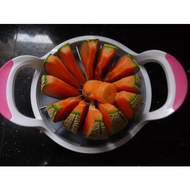 Melonenspalter-melone-geteilt-mit-strunk