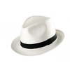 Trilby-sommerhut