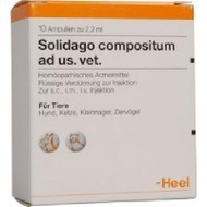 Heel-solidago-compositum-ad-us-vet-ampullen