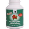 Avitale-by-mikro-shop-cranberry-lutschtabletten