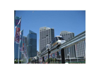 Die-monorail-auf-der-pyrmont-bridge