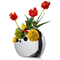 Philippi-design-moon-129007