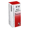 Dr-reckeweg-co-dormi-gastreu-s-r14