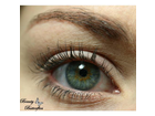 Manhattan-cosmetics-eyemazing-curves-mascara