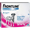 Frontline-spot-on-hund-l-3-pipetten