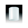 Fischer-leuchten-glas-24390-passend-nur-zu-spotkopf-37461