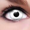 Linsenfinder-crazy-color-fun-white-zombie