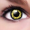 Linsenfinder-crazy-color-fun-yellow-wolf