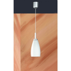 Honsel-79301-pendelleuchte
