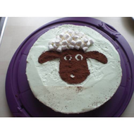 Fertige-torte