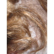 Das-haar-meiner-tochter