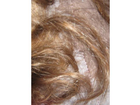 Das-haar-meiner-tochter