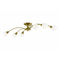 Light-esto-deckenleuchte-grazia-messing-6-flammig
