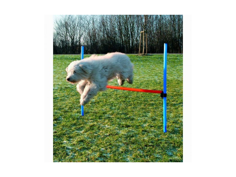 agility set hund lidl
