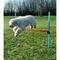 Trixie-agility-huerden-set