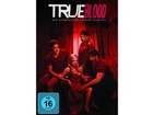 True-blood-staffel-4-dvd