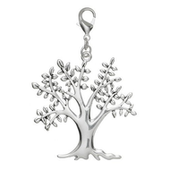 Pilgrim-514-209-charm
