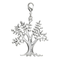 Pilgrim-514-209-charm