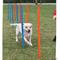 Trixie-agility-parcours-slalom-stangen