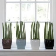 Elho-topf-bruessel-diamond-gloss