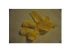 Die-losen-chips