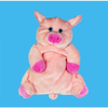 Waermflasche-schwein