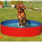 Karlie-doggy-pool