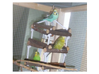Trixie-leitergeruest-gantry