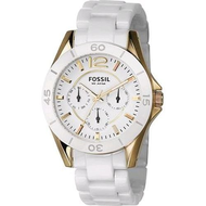 Fossil-ce1006