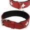 Hunter-halsband-swiss