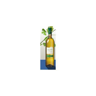 Pinot-grigio-2009