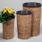 Pflanztopf-set-roll-single